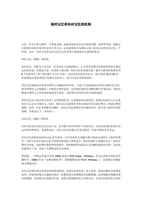 短时记忆和长时记忆的机制