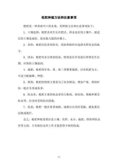 枇杷种植方法和注意事项