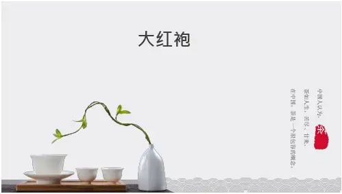 茶艺表演与标准—大红袍(茶艺表演课件)