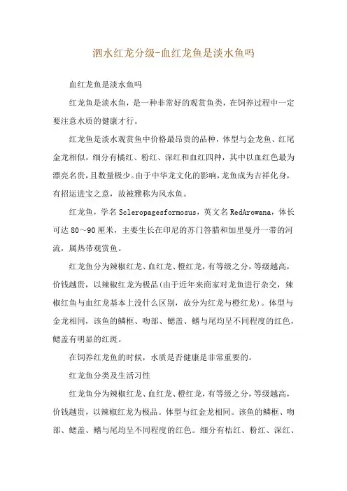 泗水红龙分级-血红龙鱼是淡水鱼吗