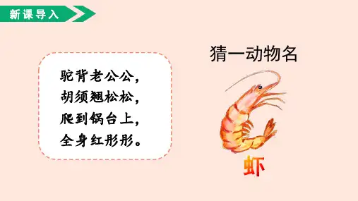 部编版三年级语文下册第15课《小虾》(课件)(共19张PPT)