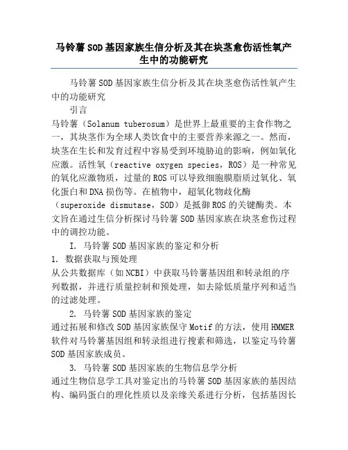马铃薯SOD基因家族生信分析及其在块茎愈伤活性氧产生中的功能研究