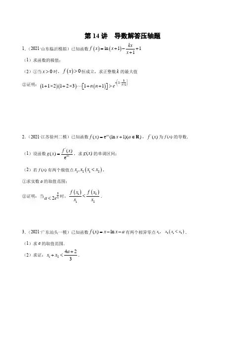 第14讲  导数解答压轴题(原卷版)