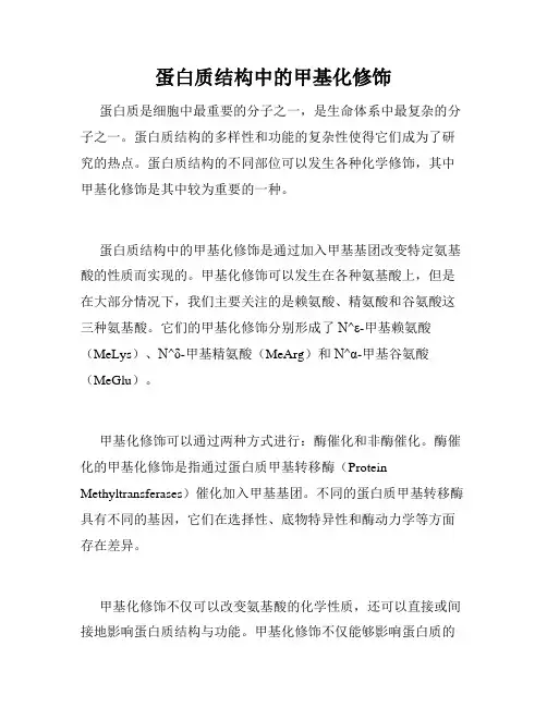 蛋白质结构中的甲基化修饰