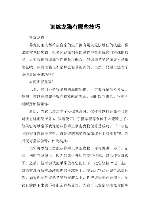 训练龙猫有哪些技巧