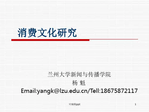 消费文化与消费行为研究上篇(1)