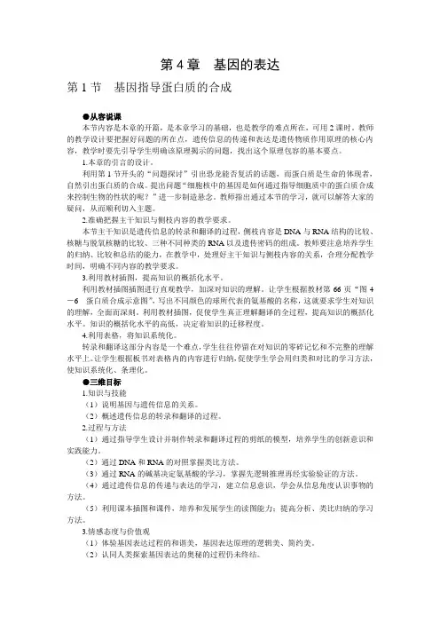 基因指导蛋白质的合说课稿