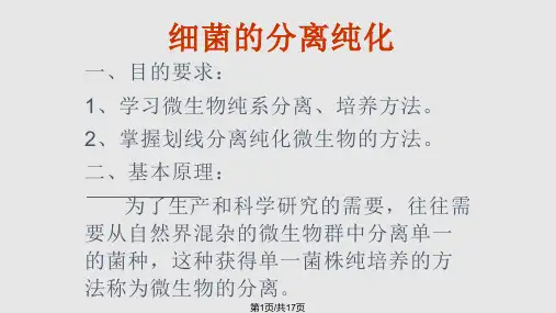 第三周微生物分离纯化接种与培养技术PPT课件