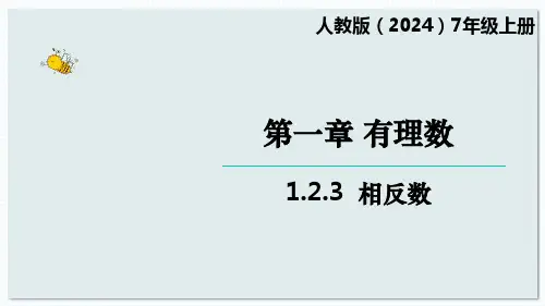 数学人教版(2024)版七年级初一上册 1.2.3 相反数 教学课件03