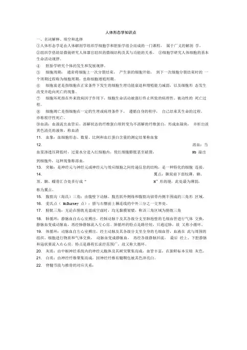 护理学人体形态学知识点