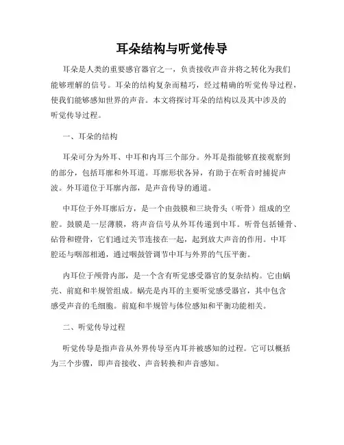 耳朵结构与听觉传导