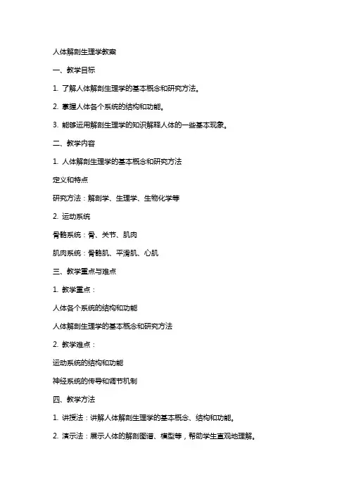 人体解剖生理学教案