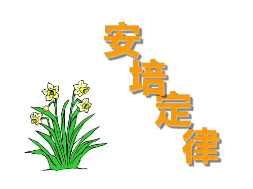 磁场4(安培定律及应用)
