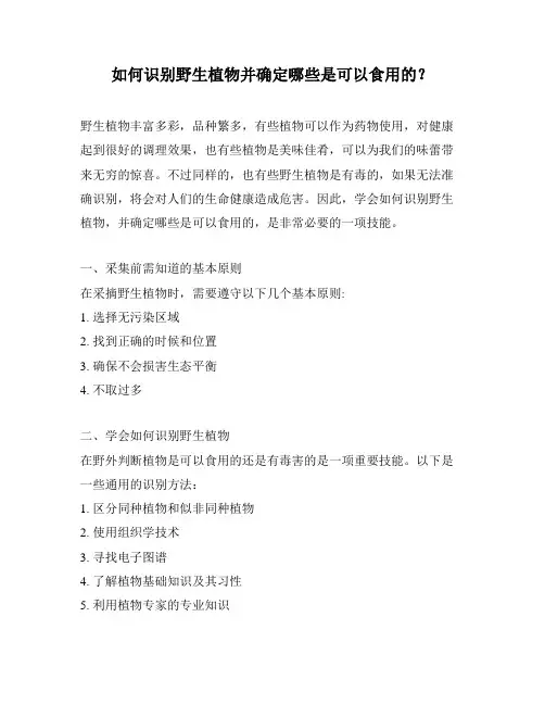 如何识别野生植物并确定哪些是可以食用的？