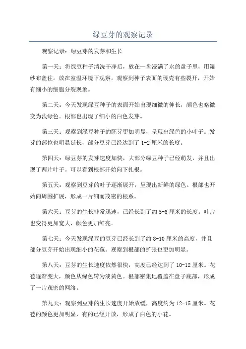 绿豆芽的观察记录