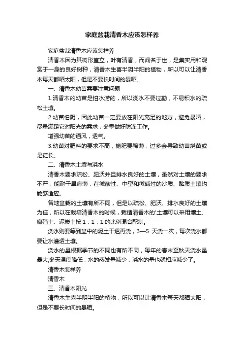 家庭盆栽清香木应该怎样养