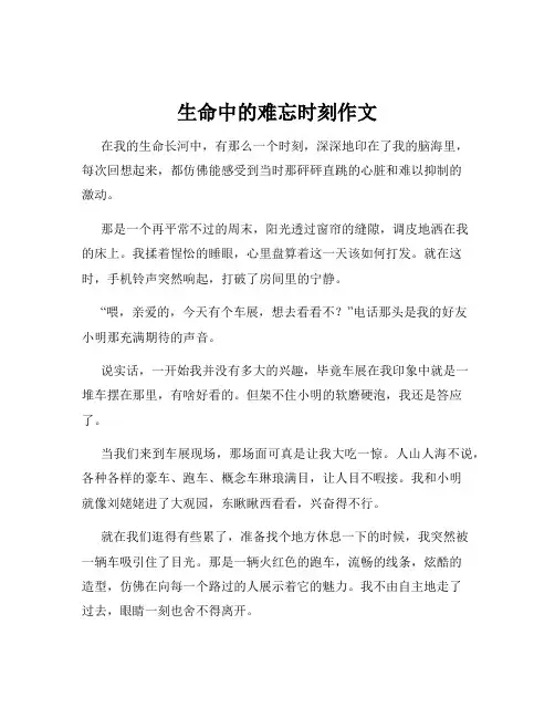 生命中的难忘时刻作文