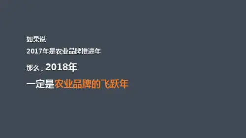 2018桃江县区域公用品牌及营销体系升级建设方案(4.2)