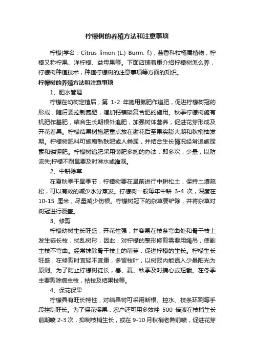柠檬树的养殖方法和注意事项