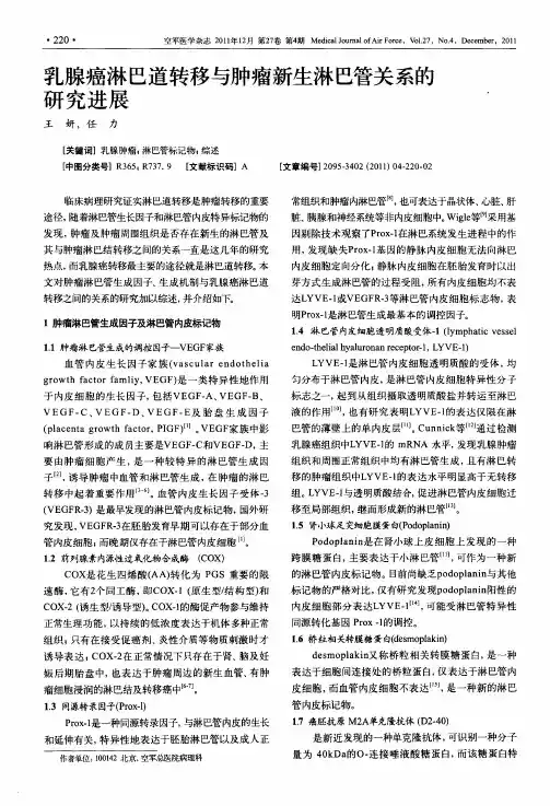 乳腺癌淋巴道转移与肿瘤新生淋巴管关系的研究进展