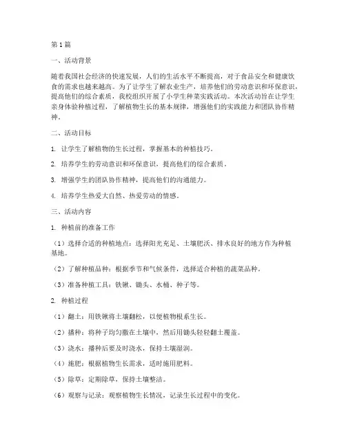 小学生种菜实践活动总结(3篇)