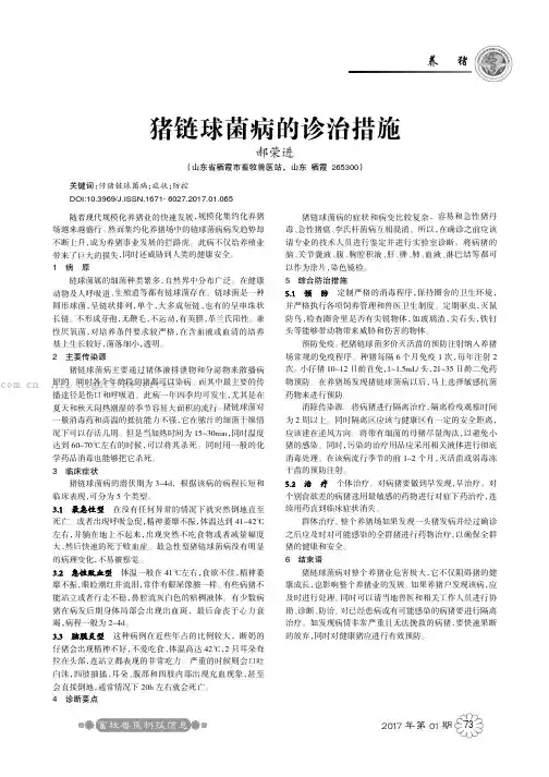 猪链球菌病的诊治措施