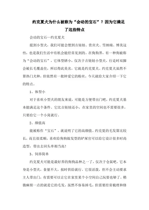 约克夏犬为什么被称为“会动的宝石”？因为它满足了这些特点