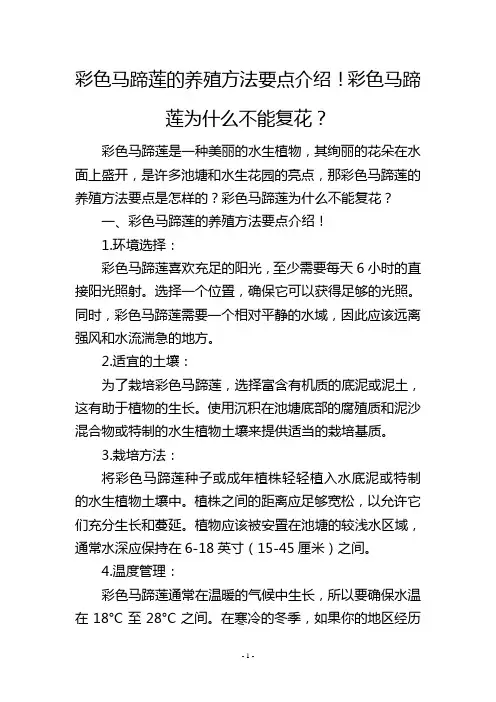 彩色马蹄莲的养殖方法要点介绍!彩色马蹄莲为什么不能复花？