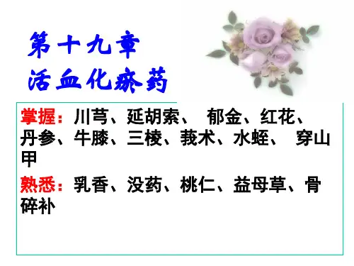 19活血化瘀药PPT课件