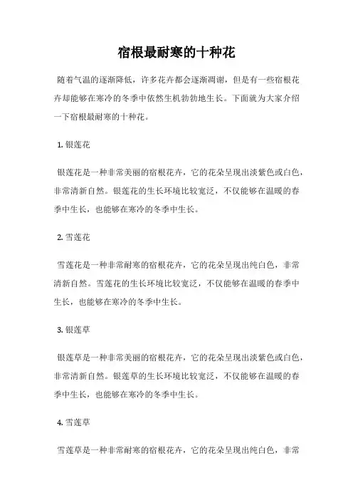 宿根最耐寒的十种花