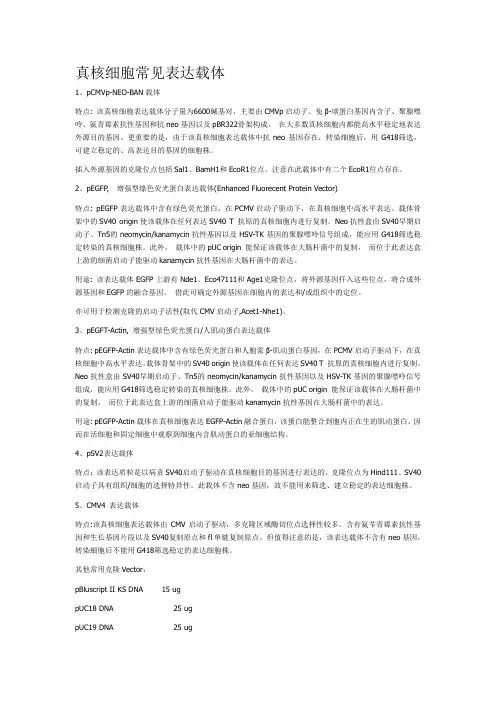 真核表达载体