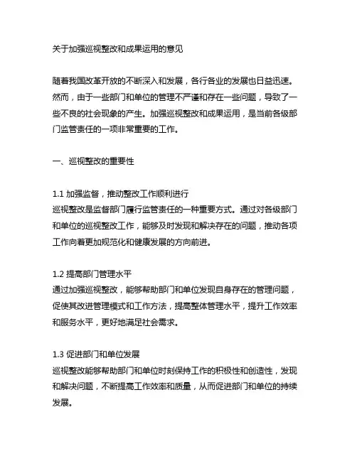关于加强巡视整改和成果运用的意见 部门监管责任