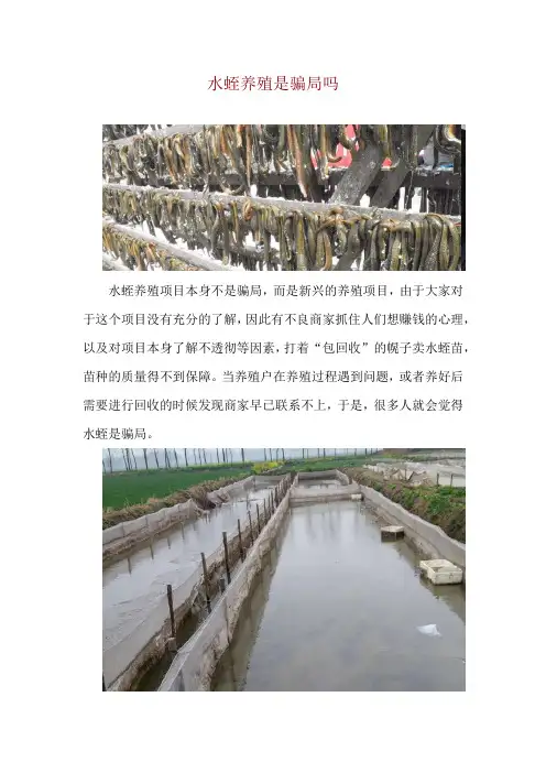 水蛭养殖是骗局吗