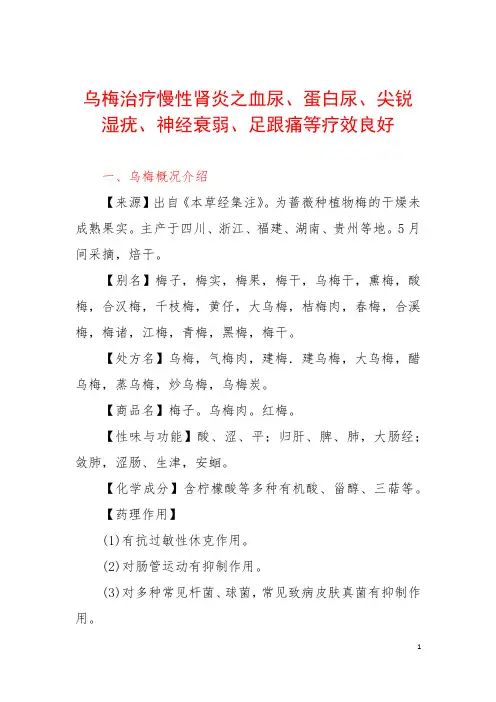 乌梅治疗慢性肾炎之血尿、蛋白尿、尖锐湿疣、神经衰弱、足跟痛等疗效良好