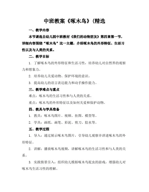 中班教案《啄木鸟》(精选