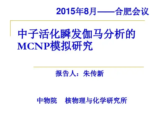 中子活化瞬发伽马分析的MCNP模拟研究