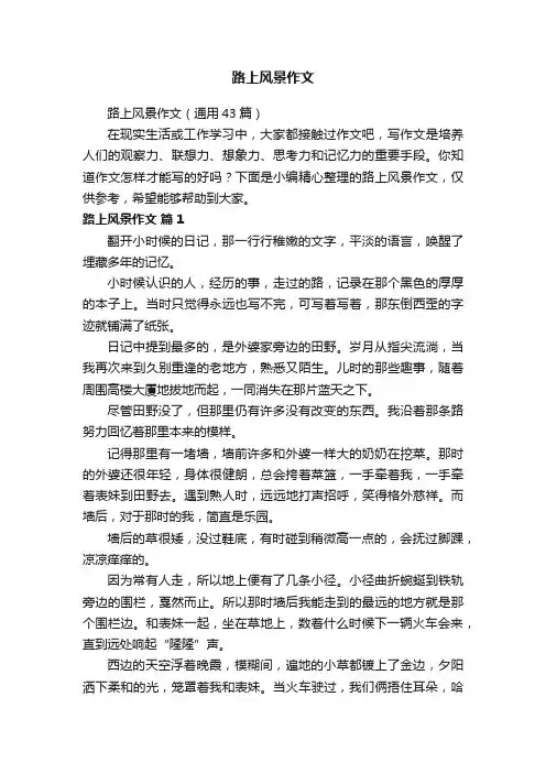 路上风景作文（通用43篇）