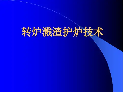 转炉溅渣护炉技术(讲座)PPT课件