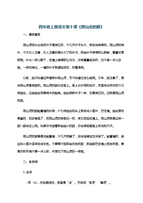 四年级上册语文第十课《爬山虎的脚》