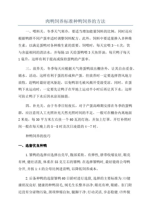 肉鸭饲养标准种鸭饲养的方法