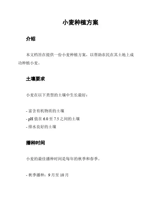小麦种植方案