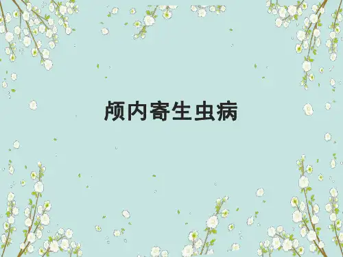 脑寄生虫病变影像诊断