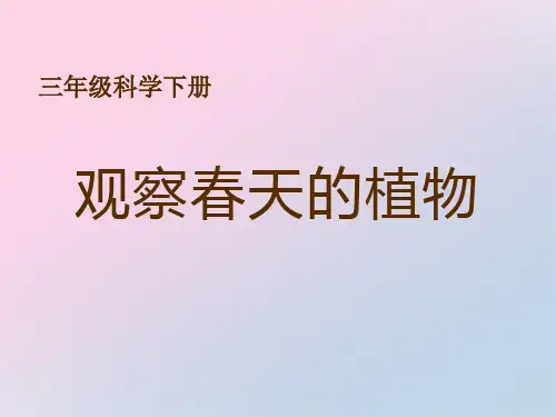 2021年《观察春天的植物》天气与植物PPT课件文档