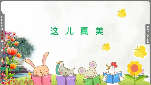 习作六：这儿真美  课件(共22张PPT)