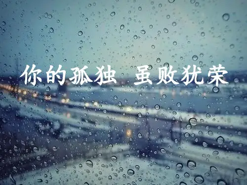 刘同《你的孤独虽败犹荣》读后感PPT