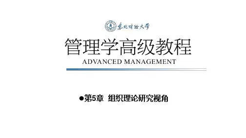 第5章 组织理论视角