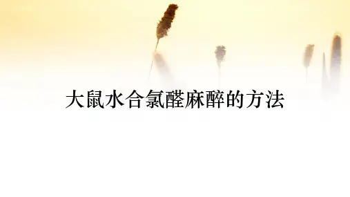 大鼠水合氯醛麻醉的方法(收藏)