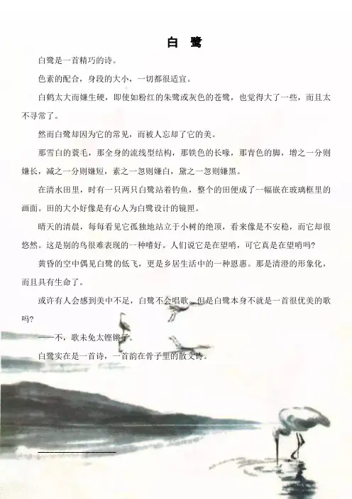 《白鹭》课文原文(图文版,非图片)