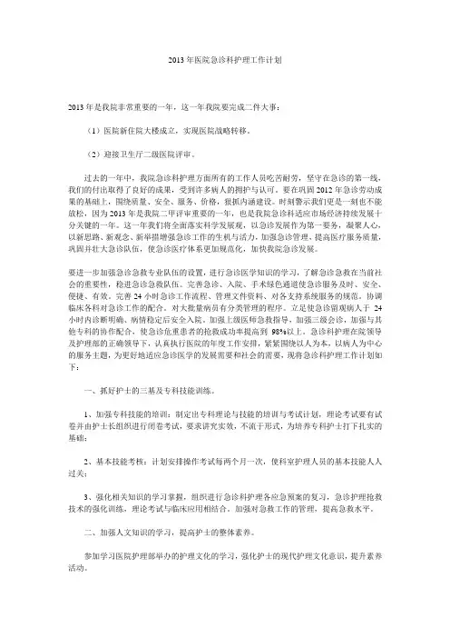 2013年医院急诊科护理工作计划 