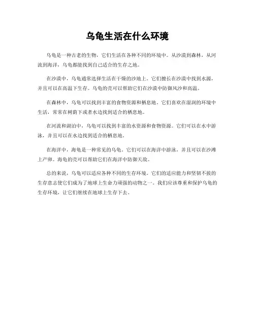 乌龟生活在什么环境